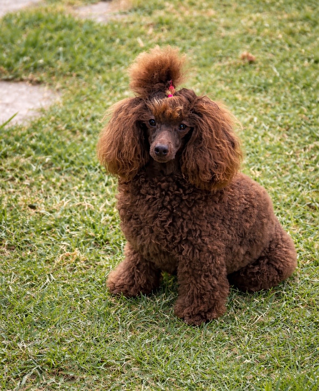 foto_editada_comprimida